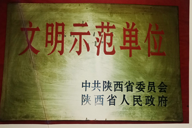 10、省級(jí)-陜西省文明示范單位.jpg